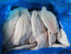 Catfish Fillet