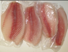 Tilapia Fillet